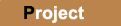 Project